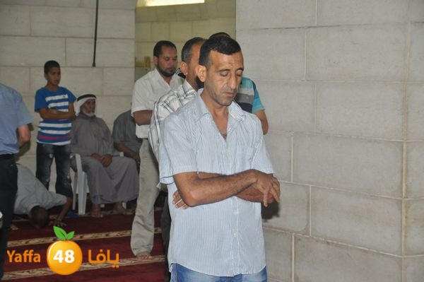 bazsalah lud 712 (42).JPG